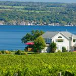 Thirsty Owl Wine Company