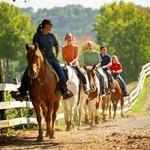 Five Oaks Riding Stables