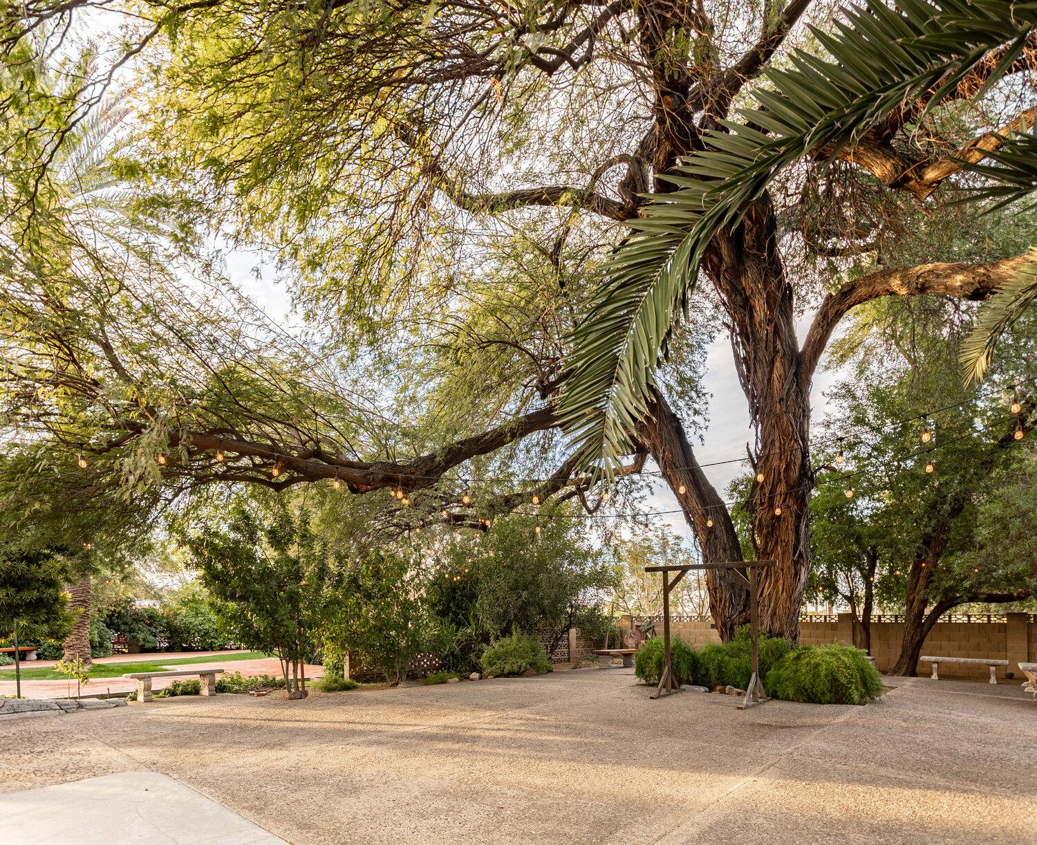 The Wedding Website of Aodhan Arias and Monica Moreno