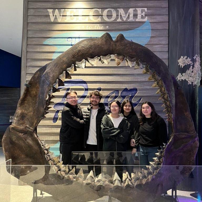 A trip to Atlanta's Aquarium