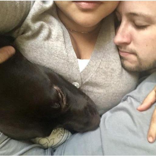 a Family Christmas Cuddle, now a mandatory annual event. 2018.