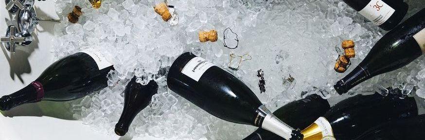 The Wedding Website of Michael Pauls and Sydney Koelper