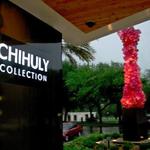 Chihuly Collection