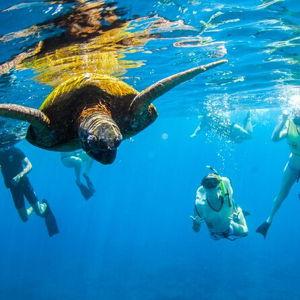 Zodiac Boat Snorkel Adventure