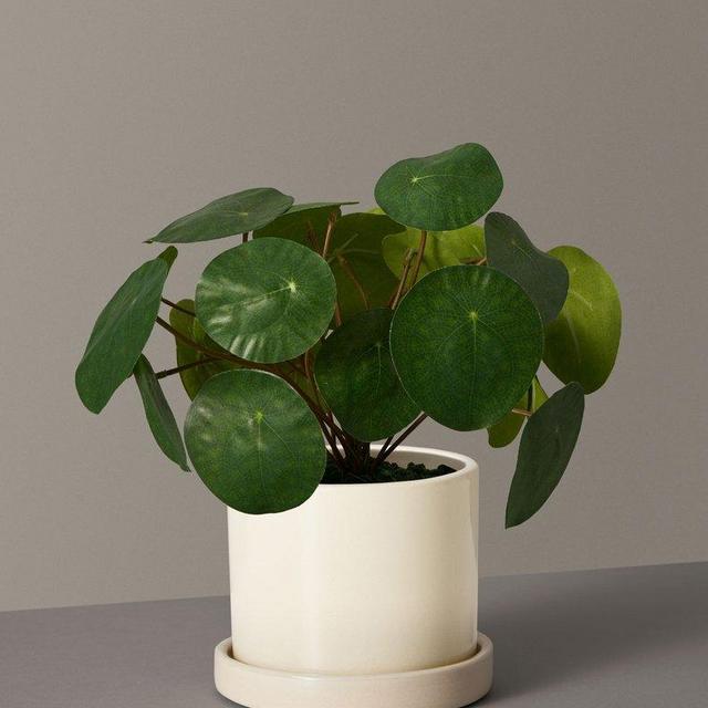 Faux Pilea Peperomioides