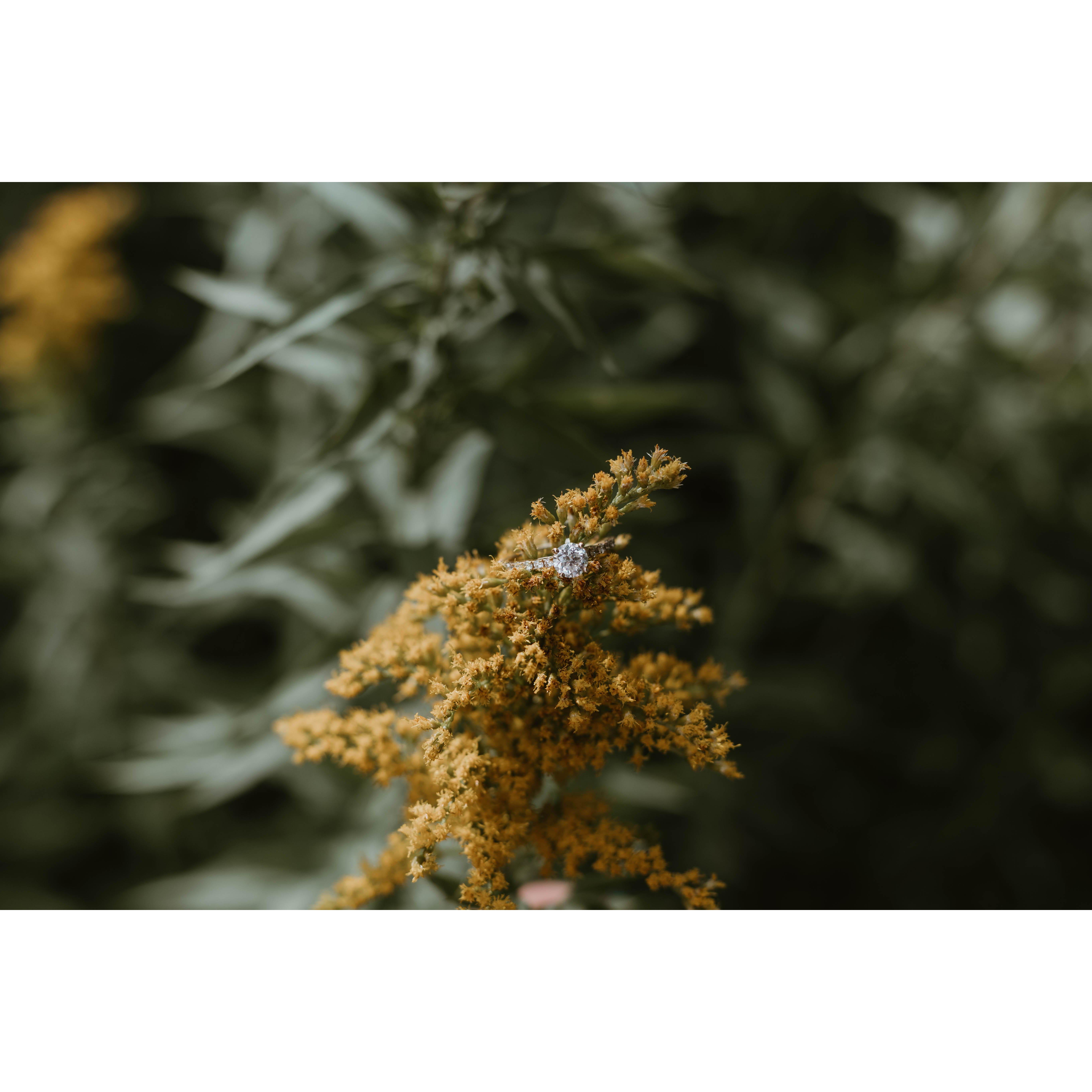 Love, sealed with a ring. 💍