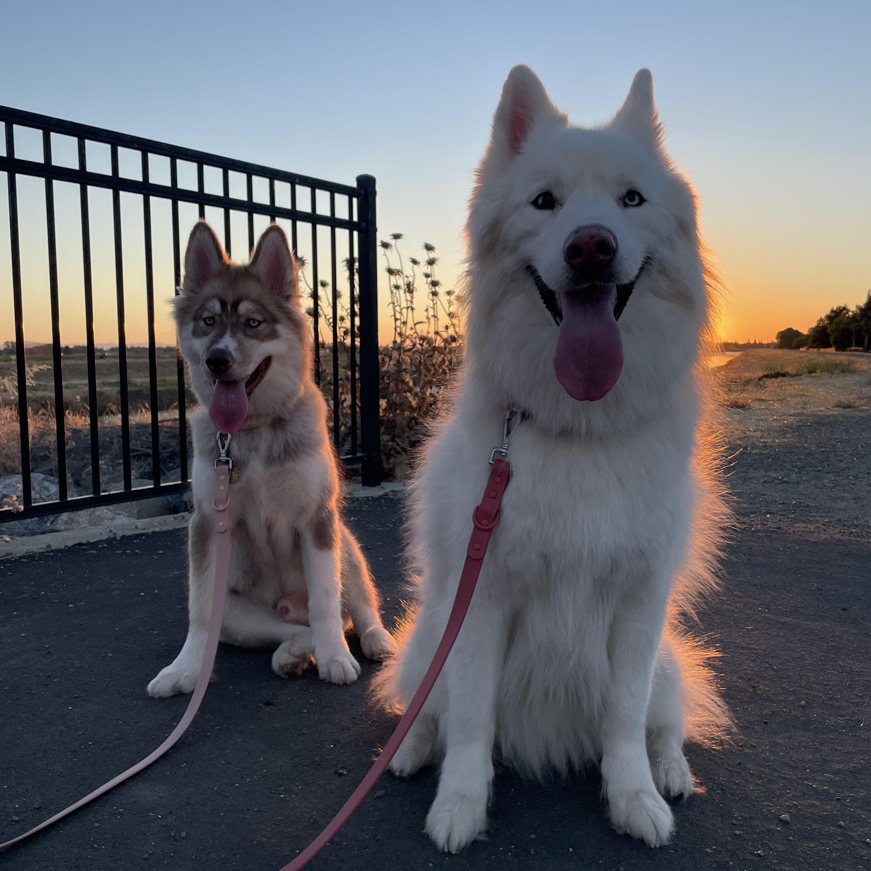 2021: 4th of July walk before the fireworks.