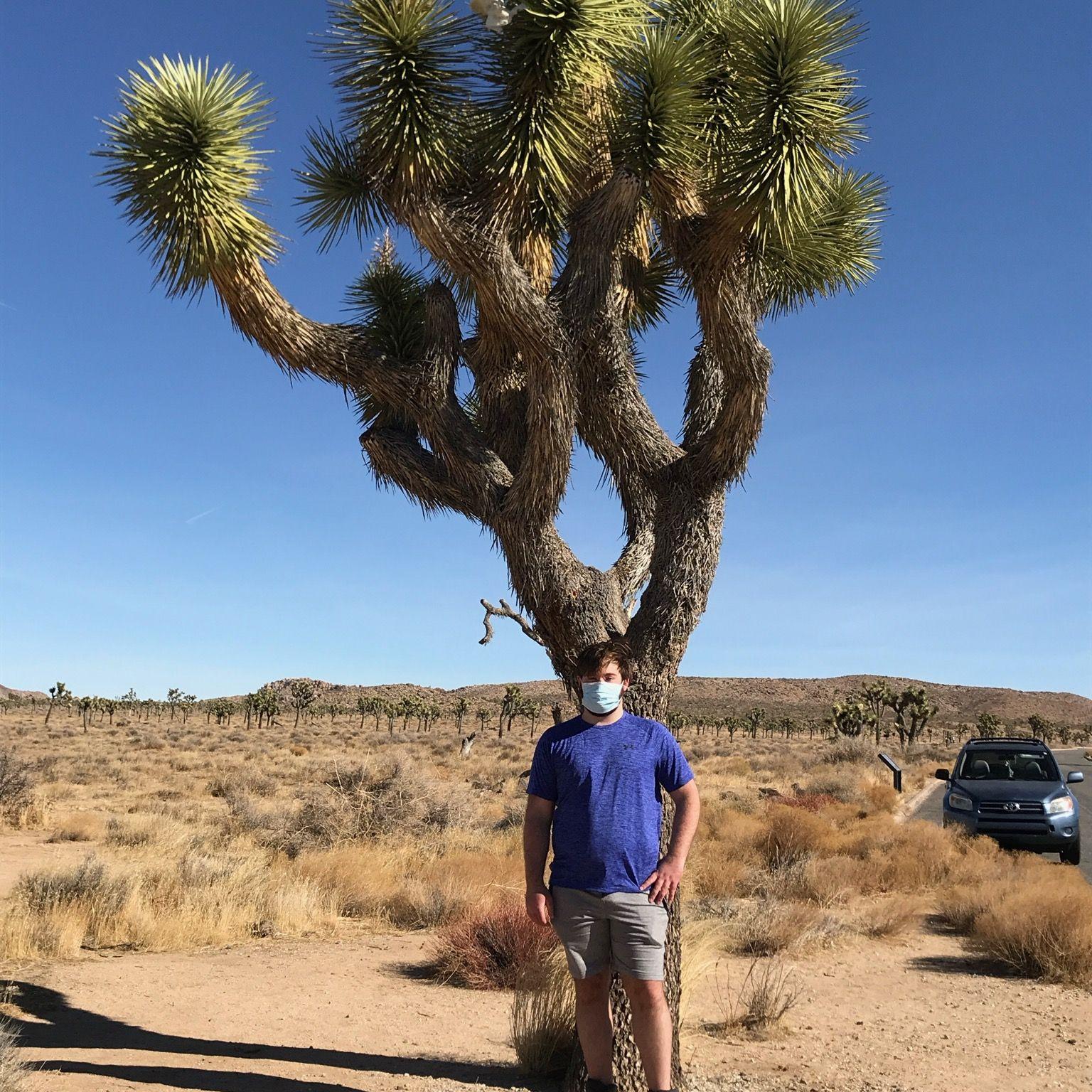 Joshua Tree (covid days, 2021)