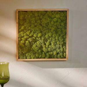 Framed Reindeer Moss