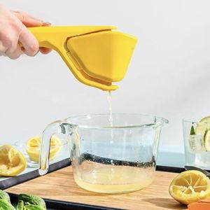 Dreamfarm Original Lemon Fluicer Easy-Squeeze Fold-Flat Citrus Juicer - 10 Inch, Suits Lime & Lemon