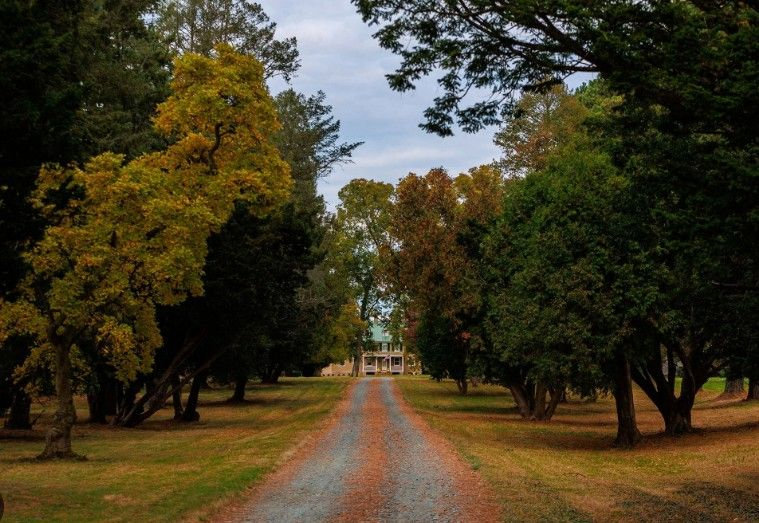 The Wedding Website of Alicia Campbell and Gregory Mullikin