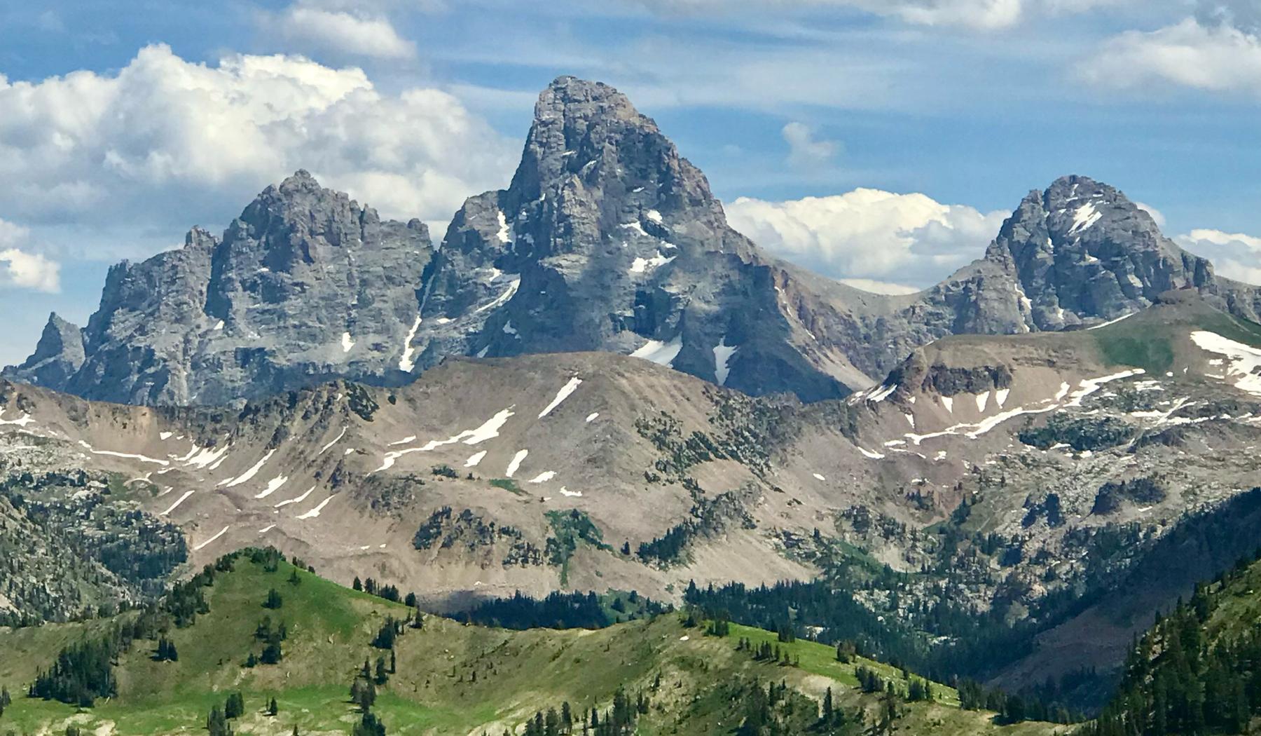 The Wedding Website of Dani Rose Calhoon and Rick Koplow