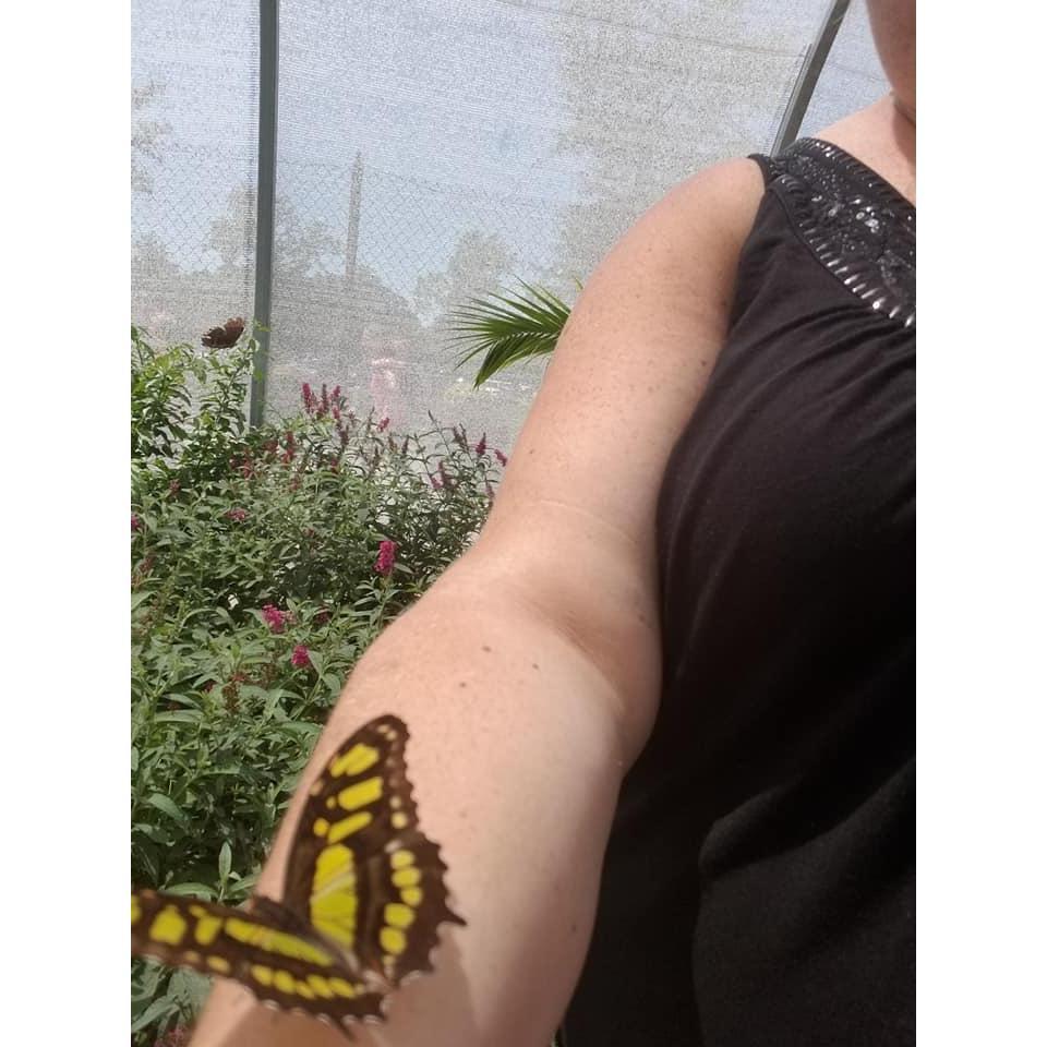 Como Zoo... July 2018