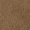 Malt