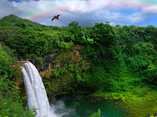 Honeymoon Fund | Kayak and Waterfall Hike