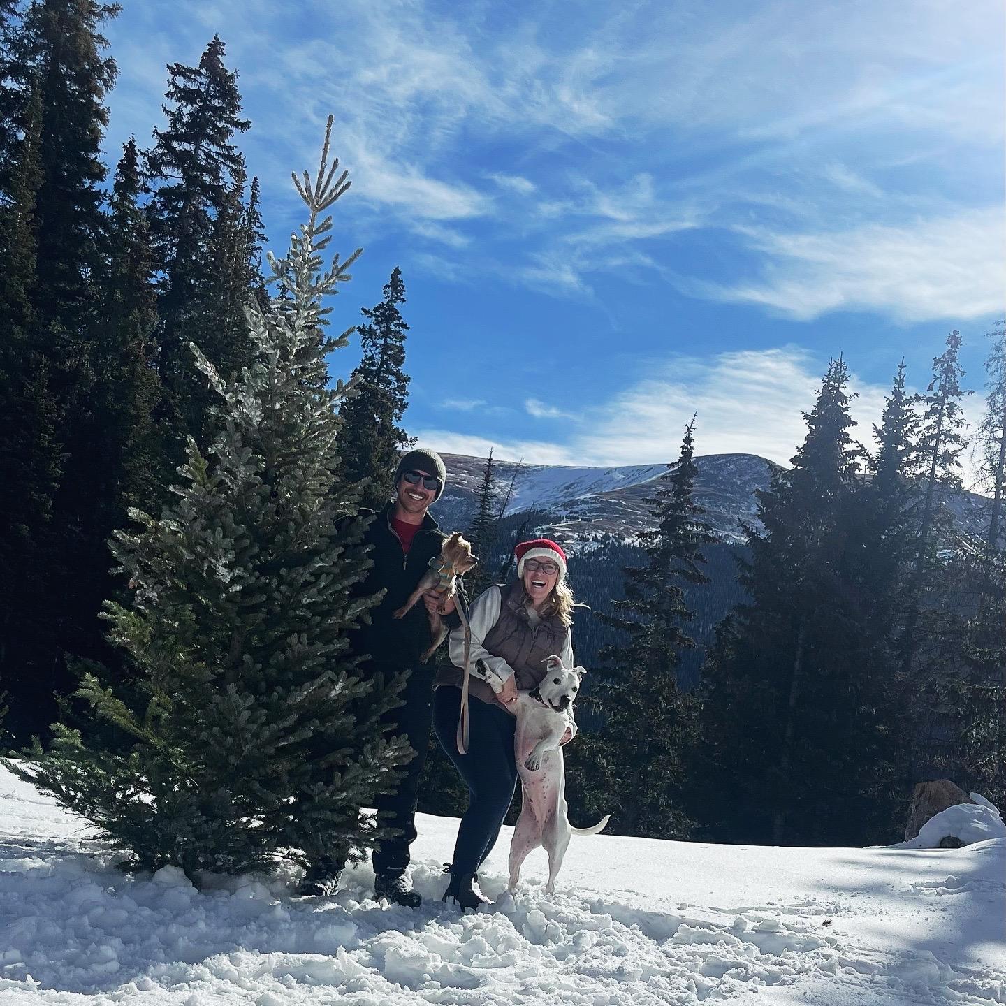 2024 Christmas Tree cutting