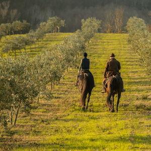 Horseback riding in Tuscany
