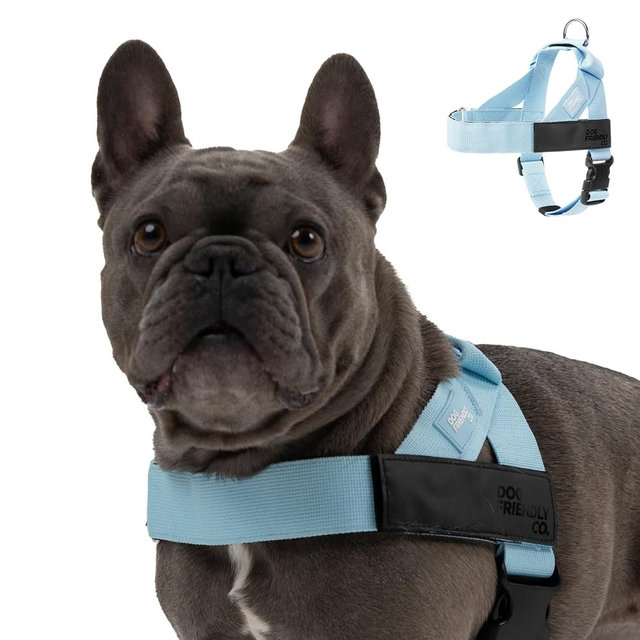 Dog Friendly Co. Dog Harness | Chafe Resistant Webbing, Adjustable Neck & Chest, and Heavy Duty D-Ring | Sturdy, Comfortable, Easy to Use | Sky Blue, Size M