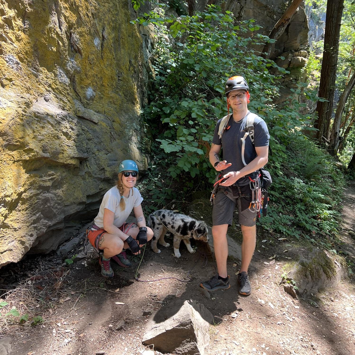 Crag dogs