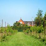 Heritage Estate Winery and Cidery