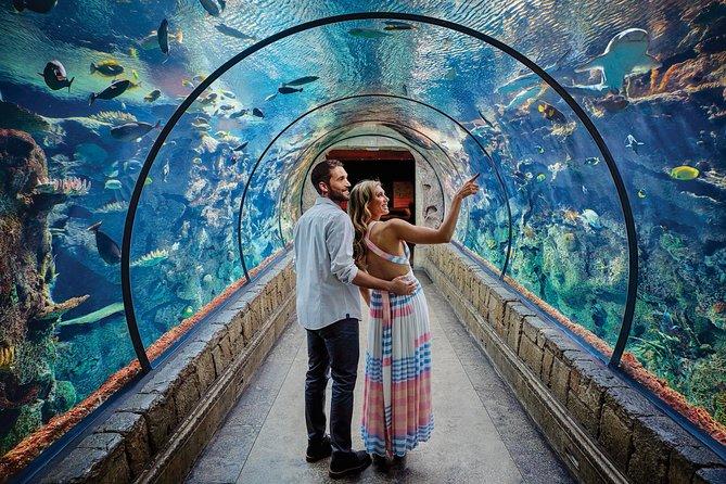 The Wedding Website of Jazmine Covarrubias and Raul (Spike) Ontiveros