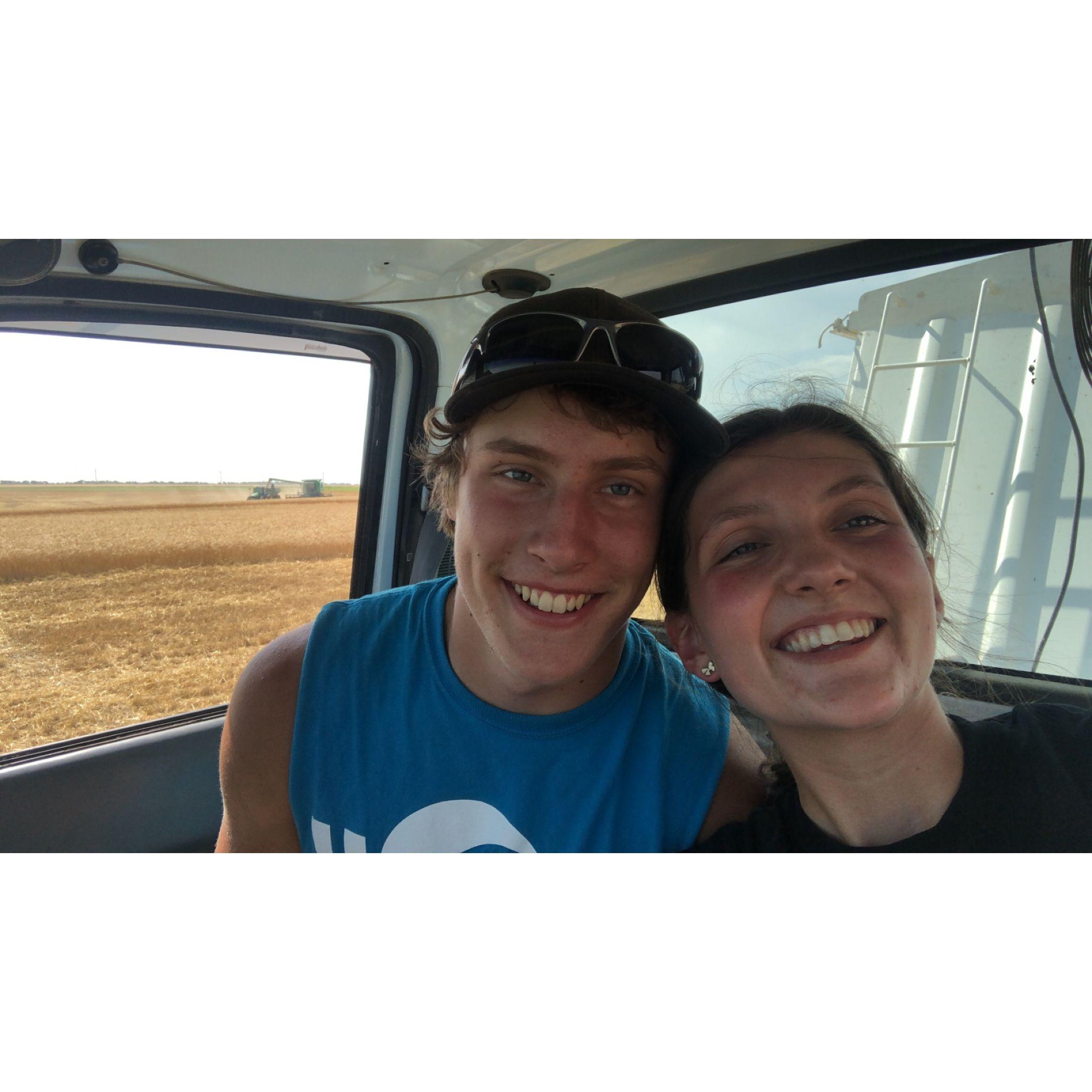 Wheat harvest 2020