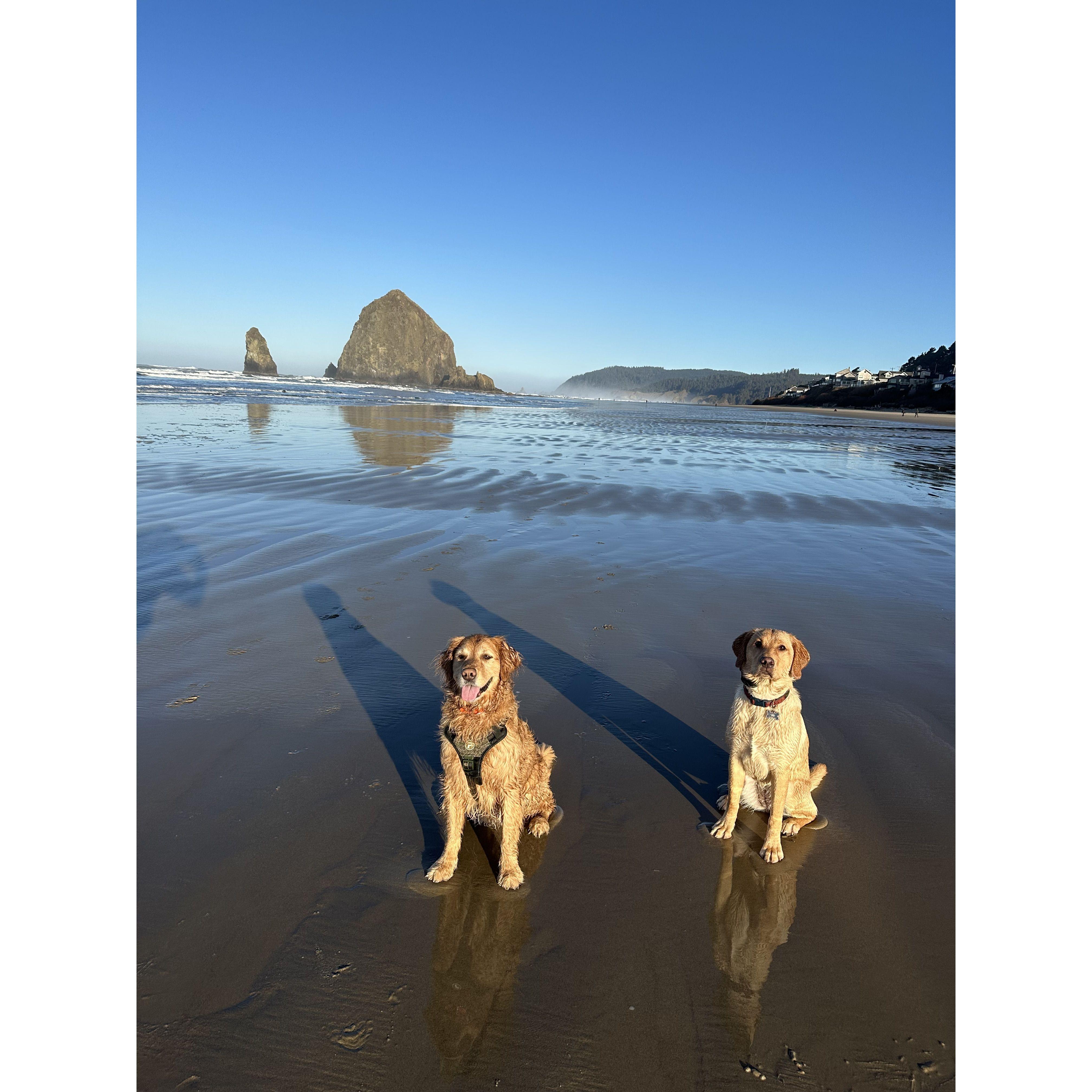Our girls!!! Rosie (left) and Cici (right) <3