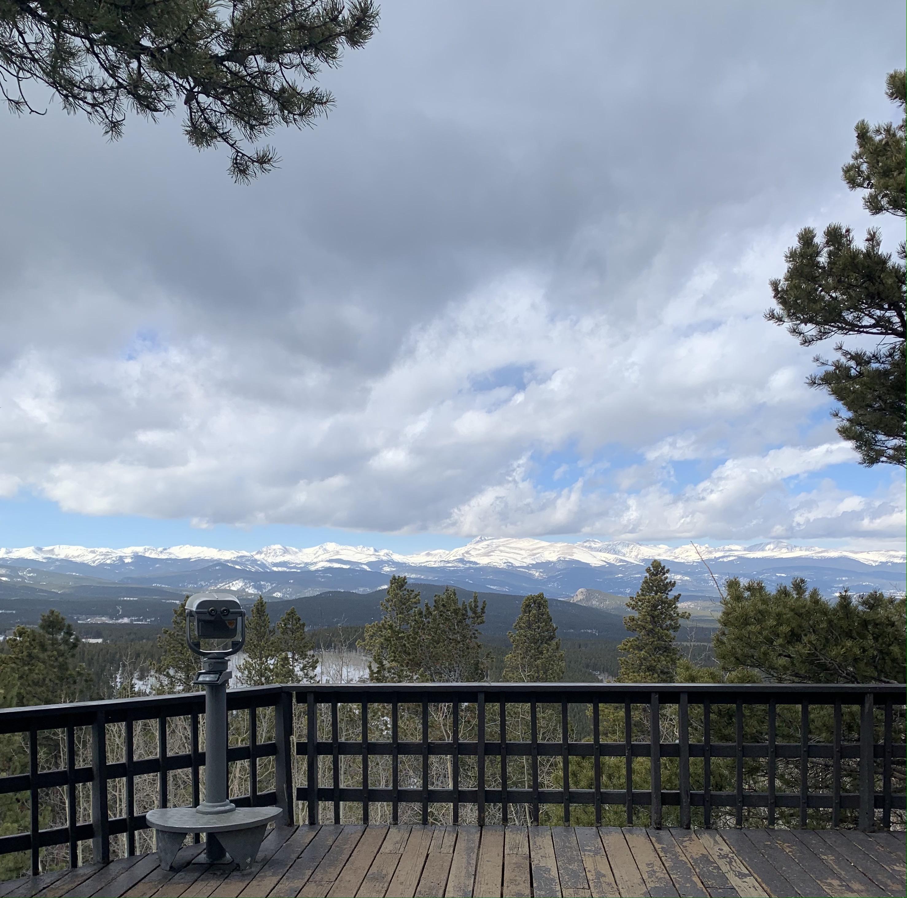 The Wedding Website of Bridget Flowers and Alexander Cerny