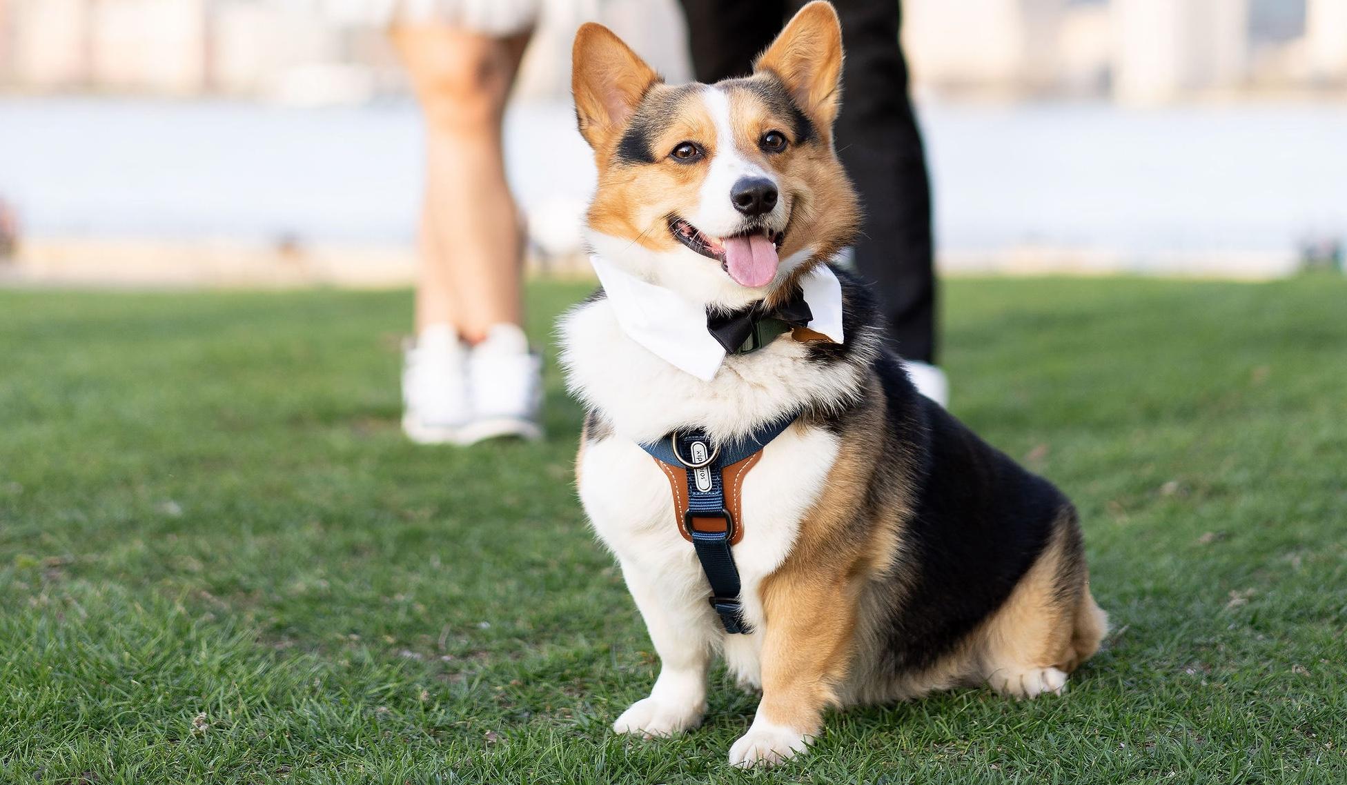 d4b2dc88-fe68-493c-b378-c6fcd434b421