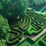 The Morton Arboretum