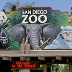 San Diego Zoo