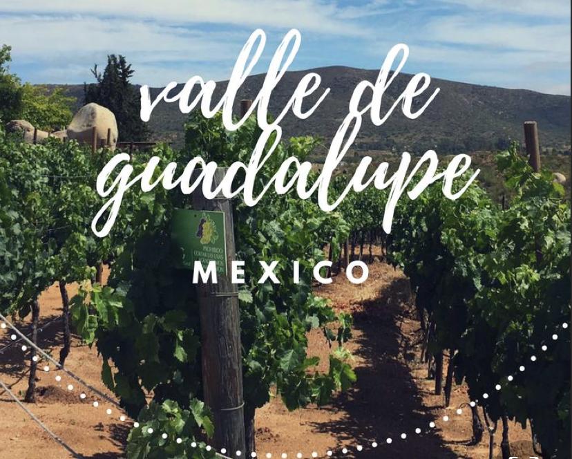 The Wedding Website of Xochilt Basulto and Eduardo Huerta