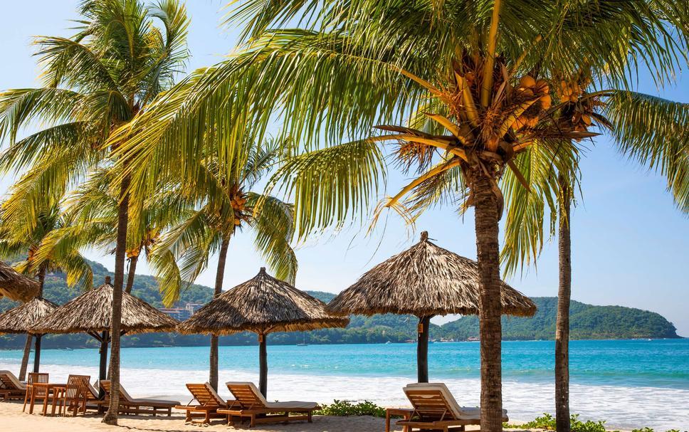 The Wedding Website of Shannon Bischofberger and Dave Ingle