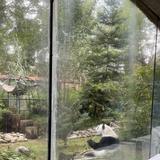 Chapultepec Zoo