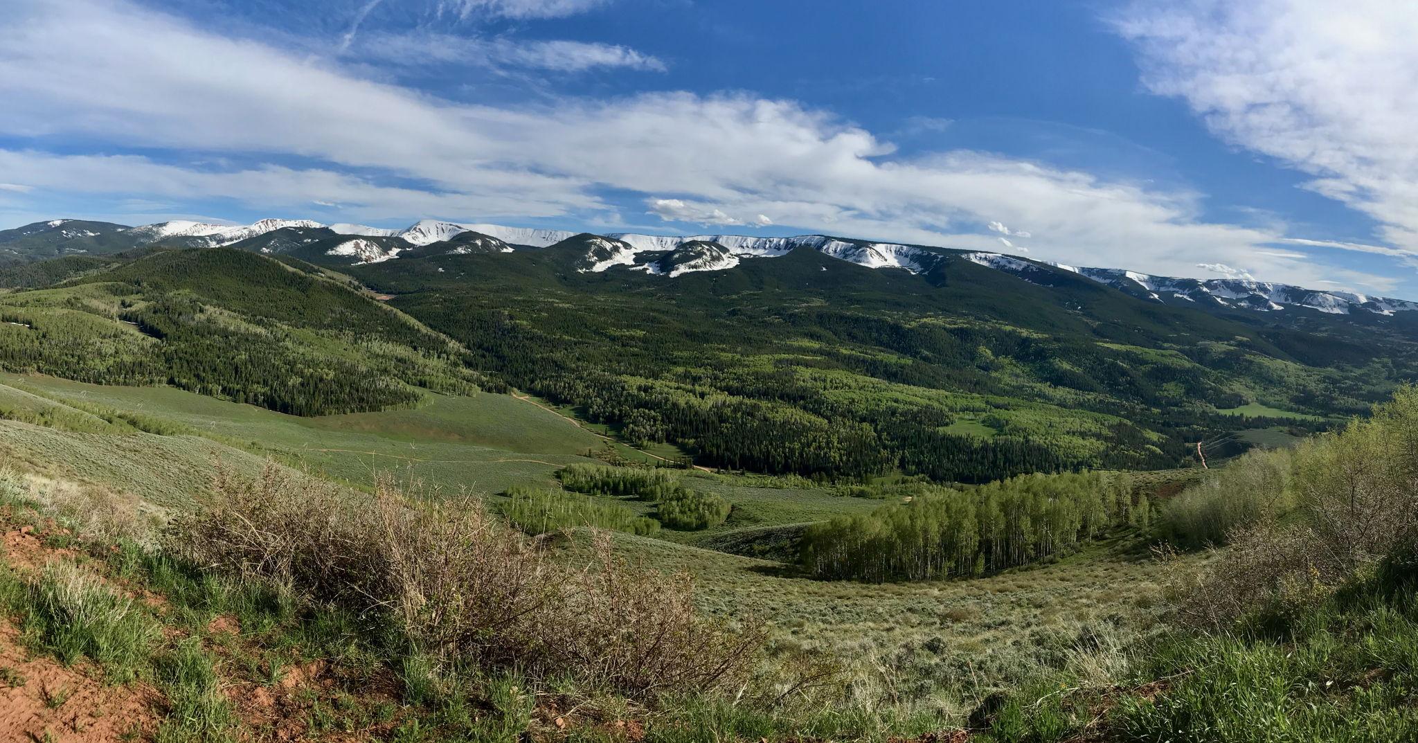 The Wedding Website of Coral Walden and Emily Turnage