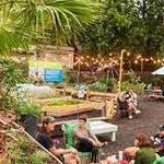 PHS Pop Up Garden at South Street