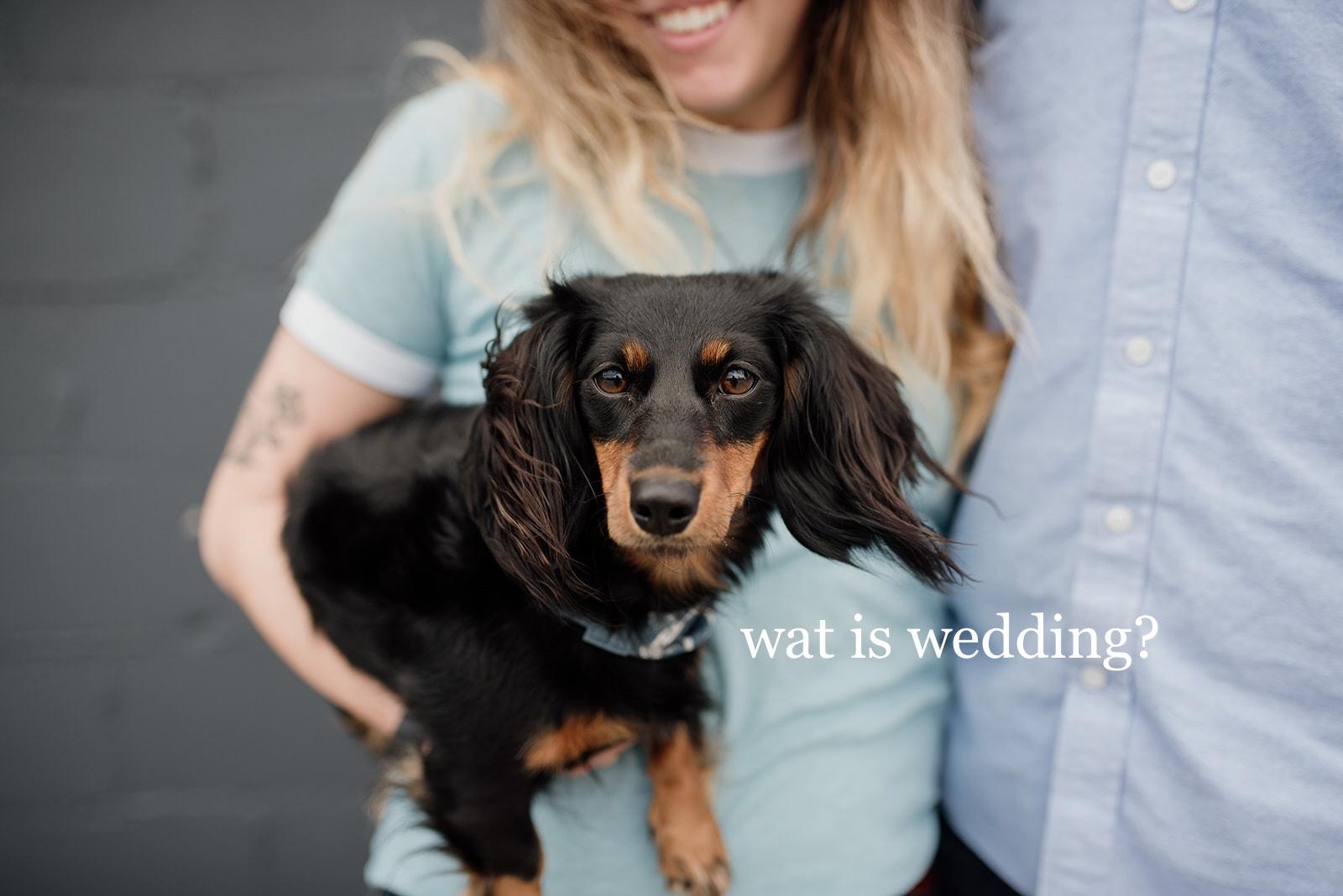 The Wedding Website of Elizabeth Taylor and Kaleb Wayne