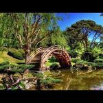 The Huntington Library, Art Collections, and Botanical Gardens