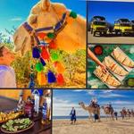 Outback Camel Safari