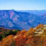 Black Balsam Knob