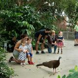 National Aviary