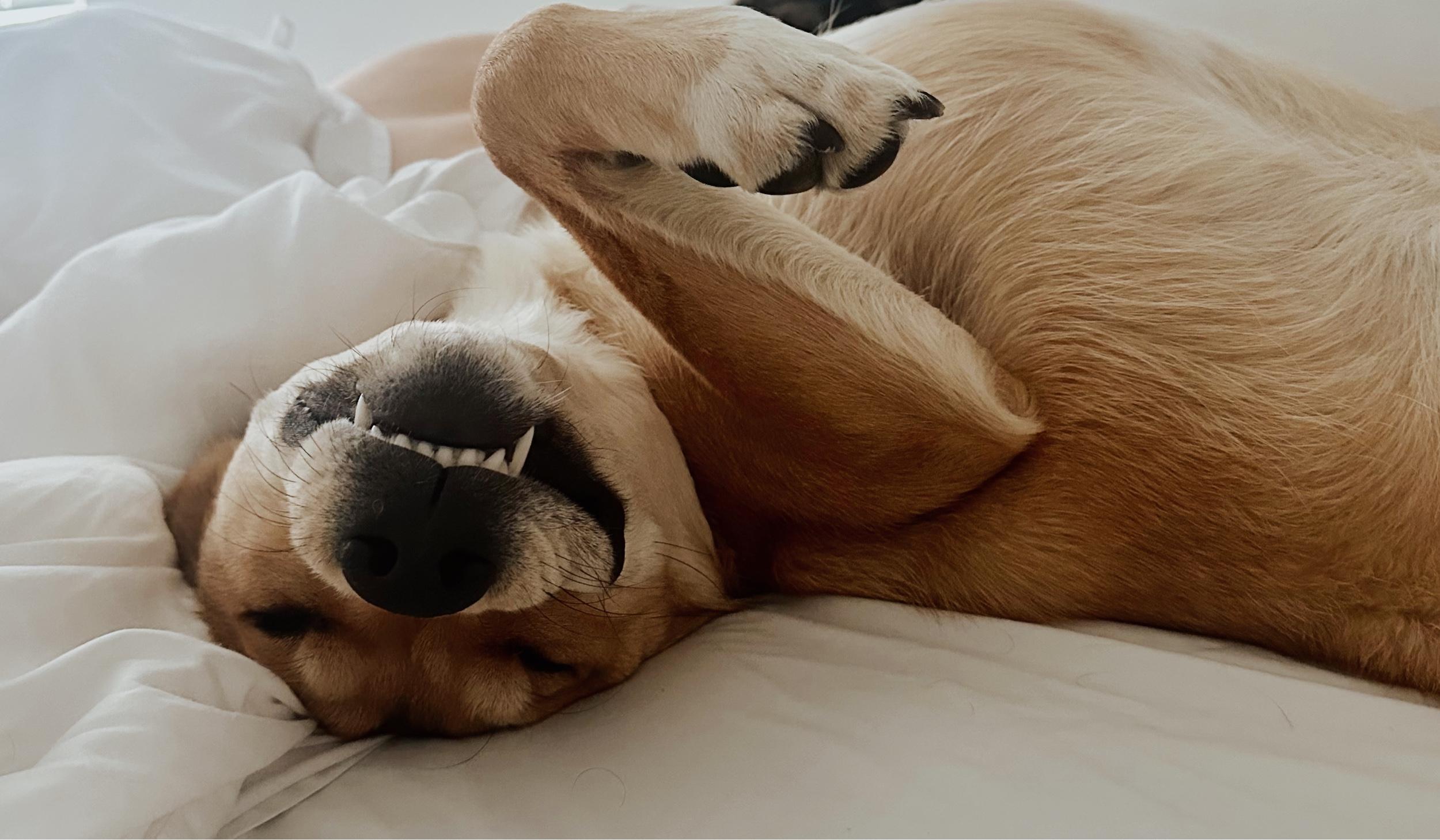 The Wedding Website of Marianne Dolan and John Teehan