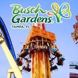 Busch Gardens Tampa Bay