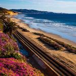 Powerhouse Beach
