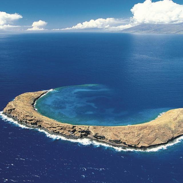 Molokini and Turtle Arches Snorkeling