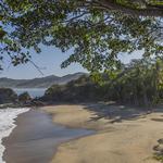 Jungle Hikes- Playa De Los Muertos