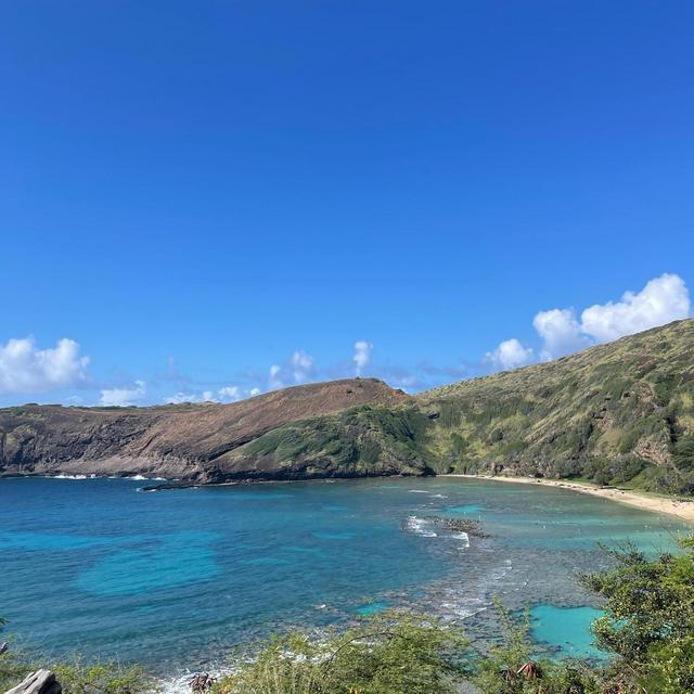 Honeymoon - Snorkeling in Haunama Bay!