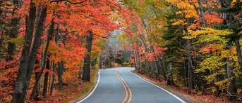 The Wedding Website of David Sarowski and Leanne Redlich