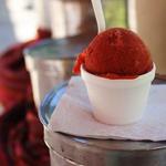La Mejor De Michoacan