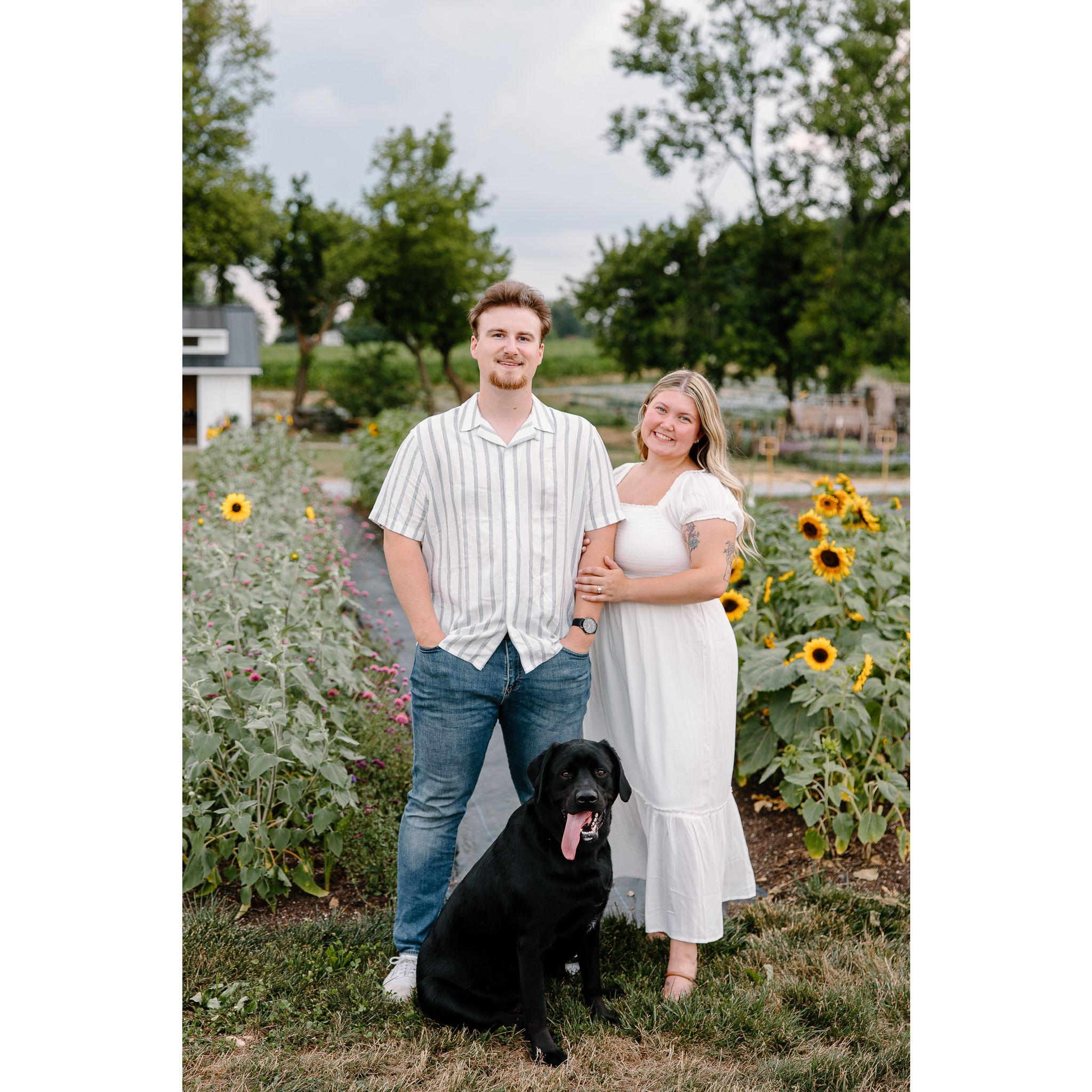 This is Mack! He is our 2 year old black lab, and he always keeps us on our toes! He is the goofiest boy and although he is over 90 lbs, he absolutely believes he is a lap dog.